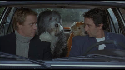 Hercule et Sherlock. vf