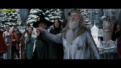 Harry.Potter.and.the.Goblet.of.Fire.2005