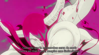 Capítulo 10 - La Batalla